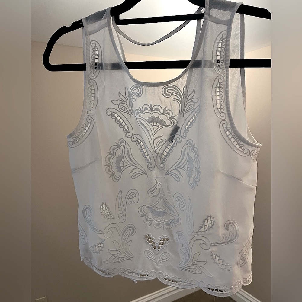 Brandy Melville Sheer Embroidered Crop Top